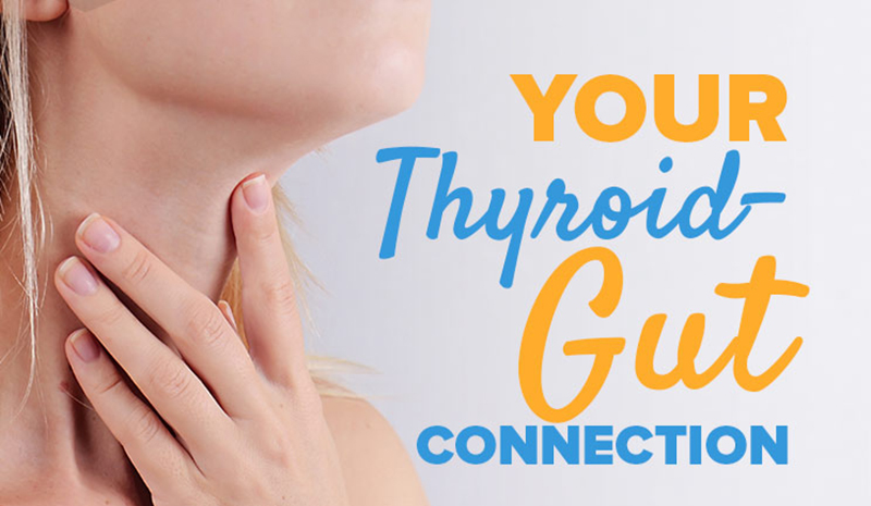 Your Thyroid-Gut Connection